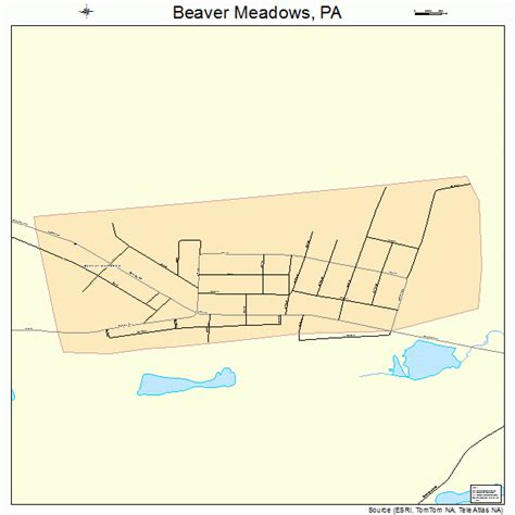 Beaver Meadows Pennsylvania Street Map 4204816