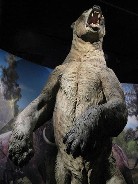 Largest Prehistoric Bear