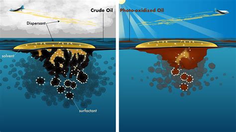 Effects Of Oil Spills In Water