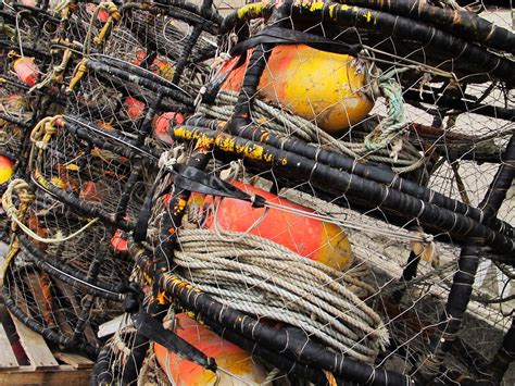 Crab Traps Free Photo Download | FreeImages