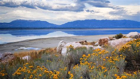 Antelope Island on Great Salt Lake in Utah - Utah National Park Trips