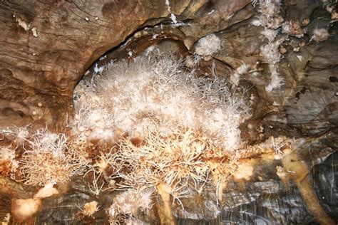 Ochtinská Aragonite Cave | Beauty around the world, Aragonite, Natural ...