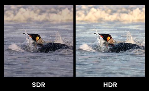 HDR vs SDR: Differences and How to Choose