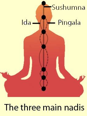 A PASSAGE TO INDIA: 98. IDA and PINGALA