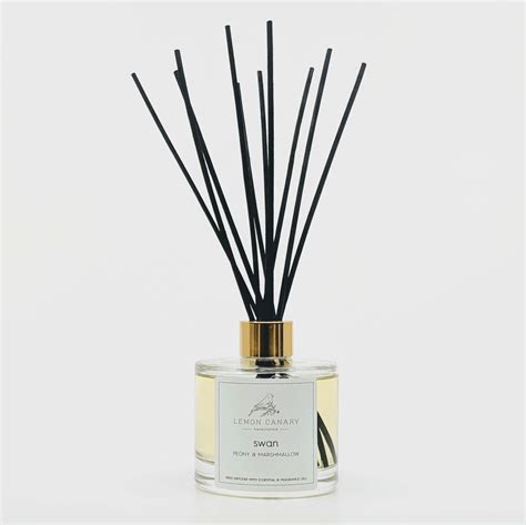 lexicon Breathing Protestant diffuser sticks and oil blouse Materialism ...