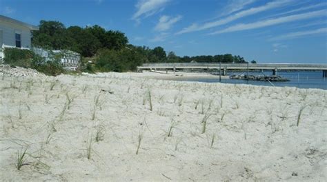 Offshore Breakwaters & Beach Nourishment | Virginia Institute of Marine ...