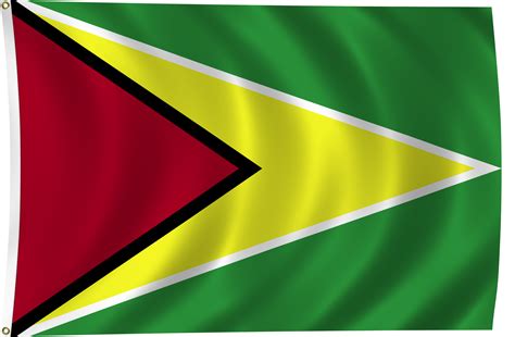 Flag of Guyana, 2011 | ClipPix ETC: Educational Photos for Students and ...