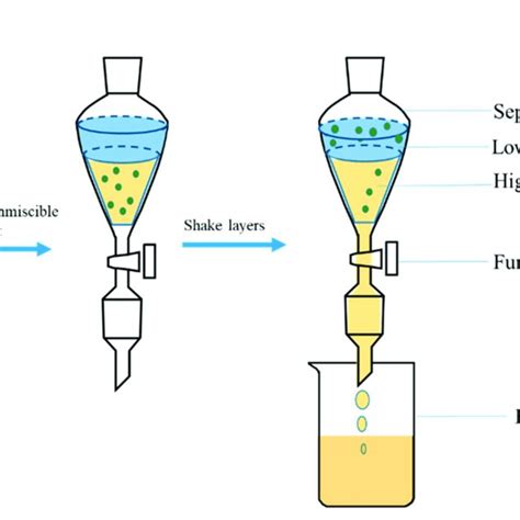 Diagrammatic steps of solid phase extraction (adapted from Badawy et ...