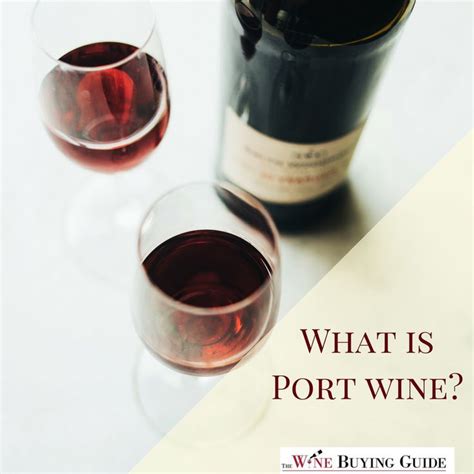 What is Port Wine? | Red wine, Wine, Wine tasting party