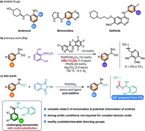 Pd( ii )-catalyzed meta -C–H bromination and chlorination of aniline ...