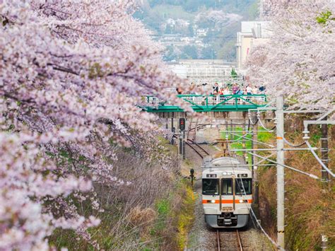 Savor the Journey: 7 Places to Visit Between Tokyo and Kyoto - The ...