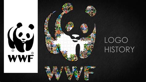 WWF logo, symbol | WWF history and evolution - YouTube