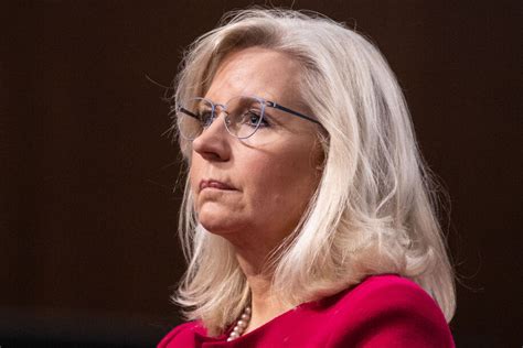 Liz Cheney: House Republicans can't be trusted to defend the ...