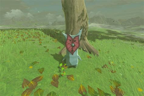 Awesome Breath Of The Wild Yellow Flower Disappears And Description ...