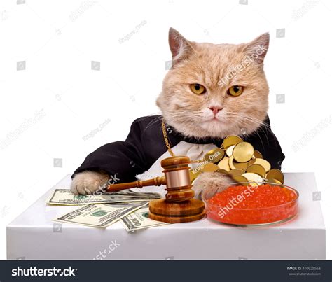 1,362 Court cat Images, Stock Photos & Vectors | Shutterstock