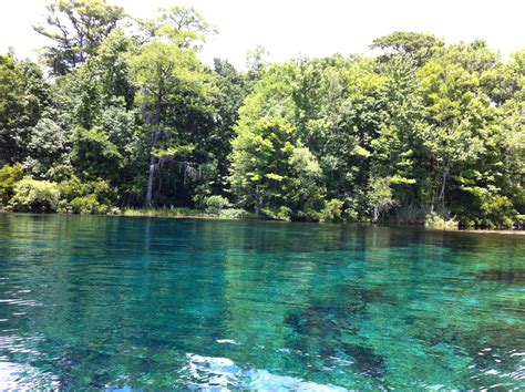 Wakulla Springs State Park, FL | Places to go, Places to visit, Places ...