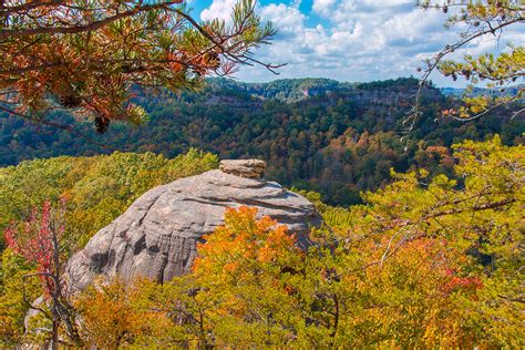 Daniel Boone National Forest - Red River Gorge Geological Area