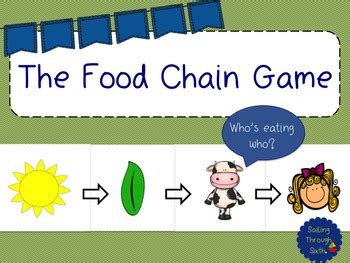 The Food Chain Game by Sailing Through Sixth | Teachers Pay Teachers