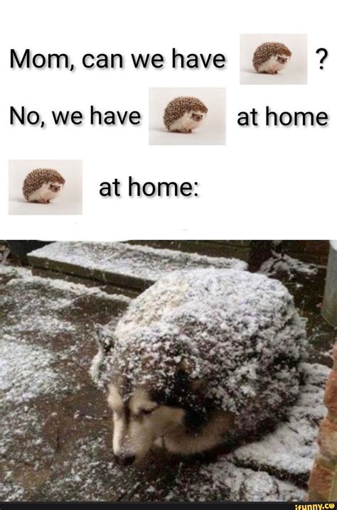 We Have That At Home Meme Template