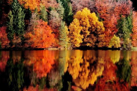 photography, Landscape, Nature, Fall, Reflection, Lake, Forest ...