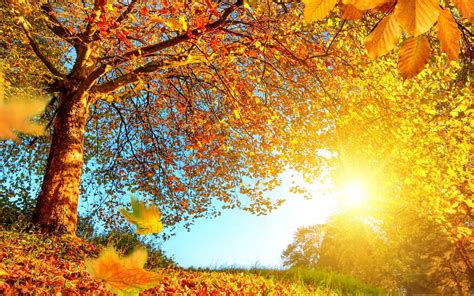 Beautiful Autumn Landscape Mac Wallpaper Download | AllMacWallpaper