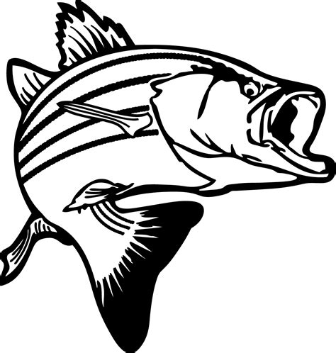 Fish Black And White Drawing at GetDrawings | Free download