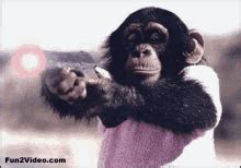 Monkey With A Gun GIFs | Tenor