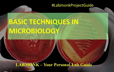 Basic Techniques of Microbiology - Labmonk