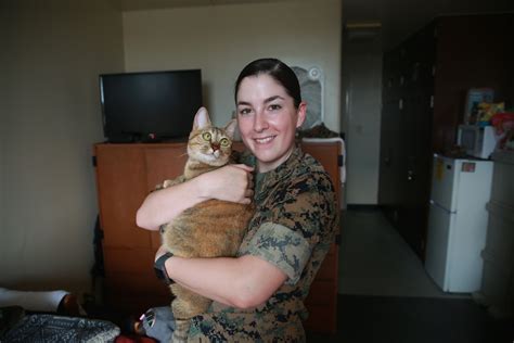 DVIDS - News - III MEF Allows Pets in Barracks