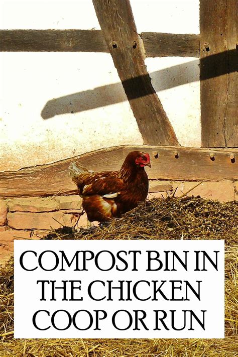 Compost Bin in the Chicken Coop or Run? Yes!