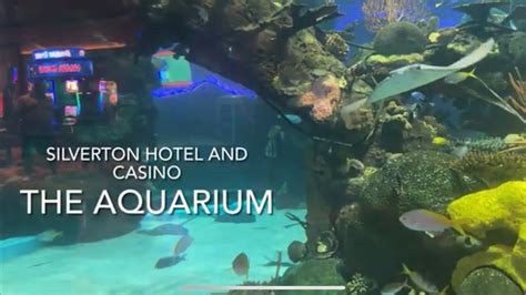 The Aquarium at the SILVERTON Hotel and Casino Las Vegas - YouTube