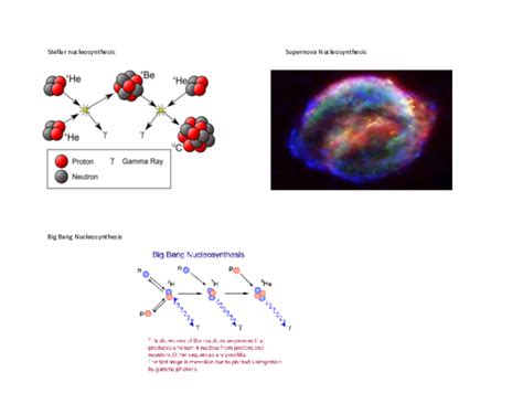 (DOC) Stellar nucleosynthesis Supernova Nucleosynthesis Big Bang ...