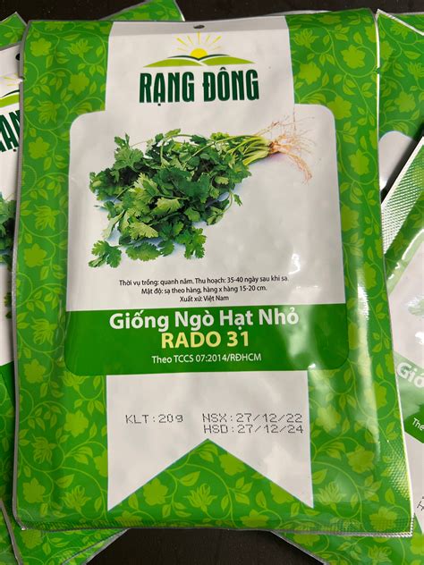 3 Bags of 500 Seeds Giống Ngò Hạt Nhỏ Hat Giong Ngo Hat Ngo - Etsy