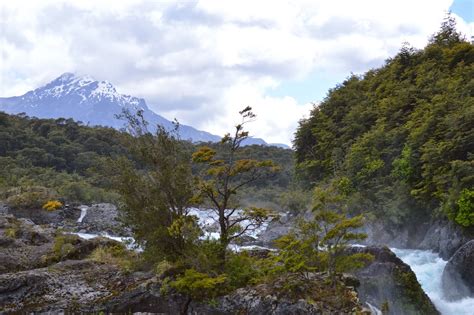 The Chilean Forest: Vicente Pérez Rosales National Park and the ...