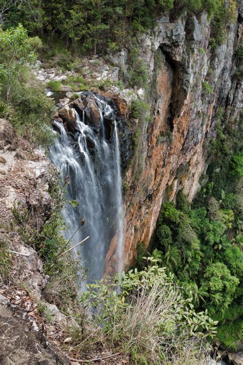 GOLD COAST HINTERLAND | Gold coast, Australian road trip, Gold coast ...