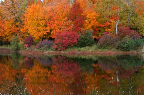 Zenfolio | Northwoods Photography | Duluth MN Fall Colors