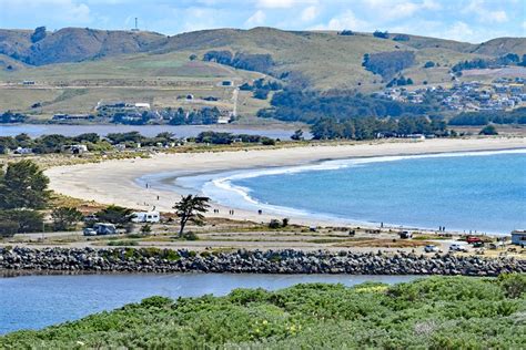 12 Best Beaches in Bodega Bay, CA | PlanetWare