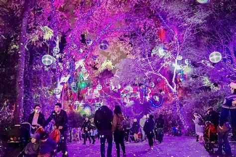 LA Zoo Lights : LosAngeles