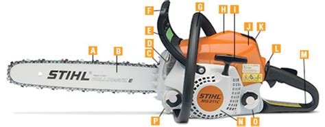 Chainsaw Anatomy or Parts of a Chainsaw Diagram | Quizlet