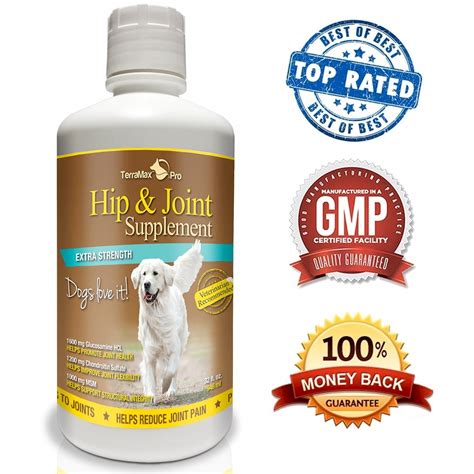 The Best Joint Supplements For Dogs 2018 [Read This Honest Review!]