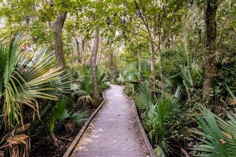 Jean Lafitte, The French Pirate King Who Saved Louisiana