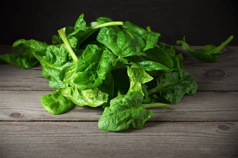 Growing Spinach: How to Plant, Grow, and Harvest Delicious Spinach