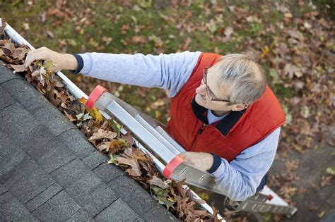 2022 How Much Does Gutter Cleaning Cost? - hipages.com.au