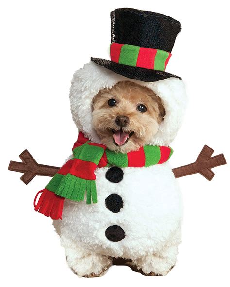 Dog Christmas outfits that you'll love dressing your pooch in