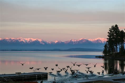 Flathead Lake, Montana - WorldAtlas