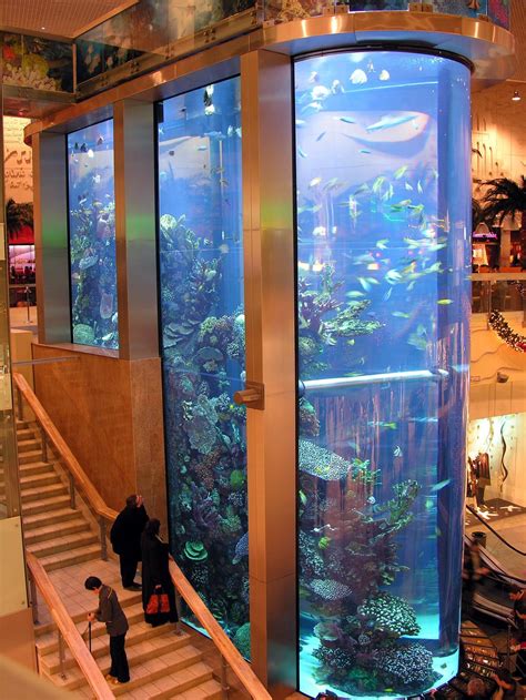 This is the largest aquarium and the highest in the Baltic States ...