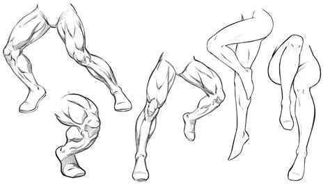 Dynamic Anatomy for Artists - Muscles of the Leg | Robert Marzullo ...