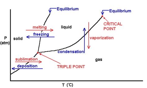 7+ label the phase diagram of pure solvent and a solution - InigoPheonix