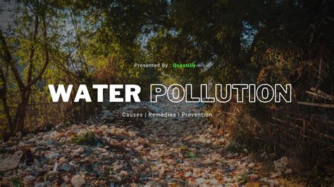 Water Pollution PPT Free Download | 10 Slides | Questilly