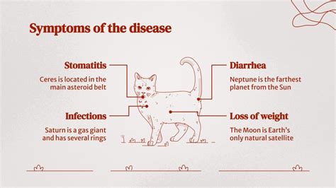 Feline Leukemia Virus | Google Slides & PowerPoint template